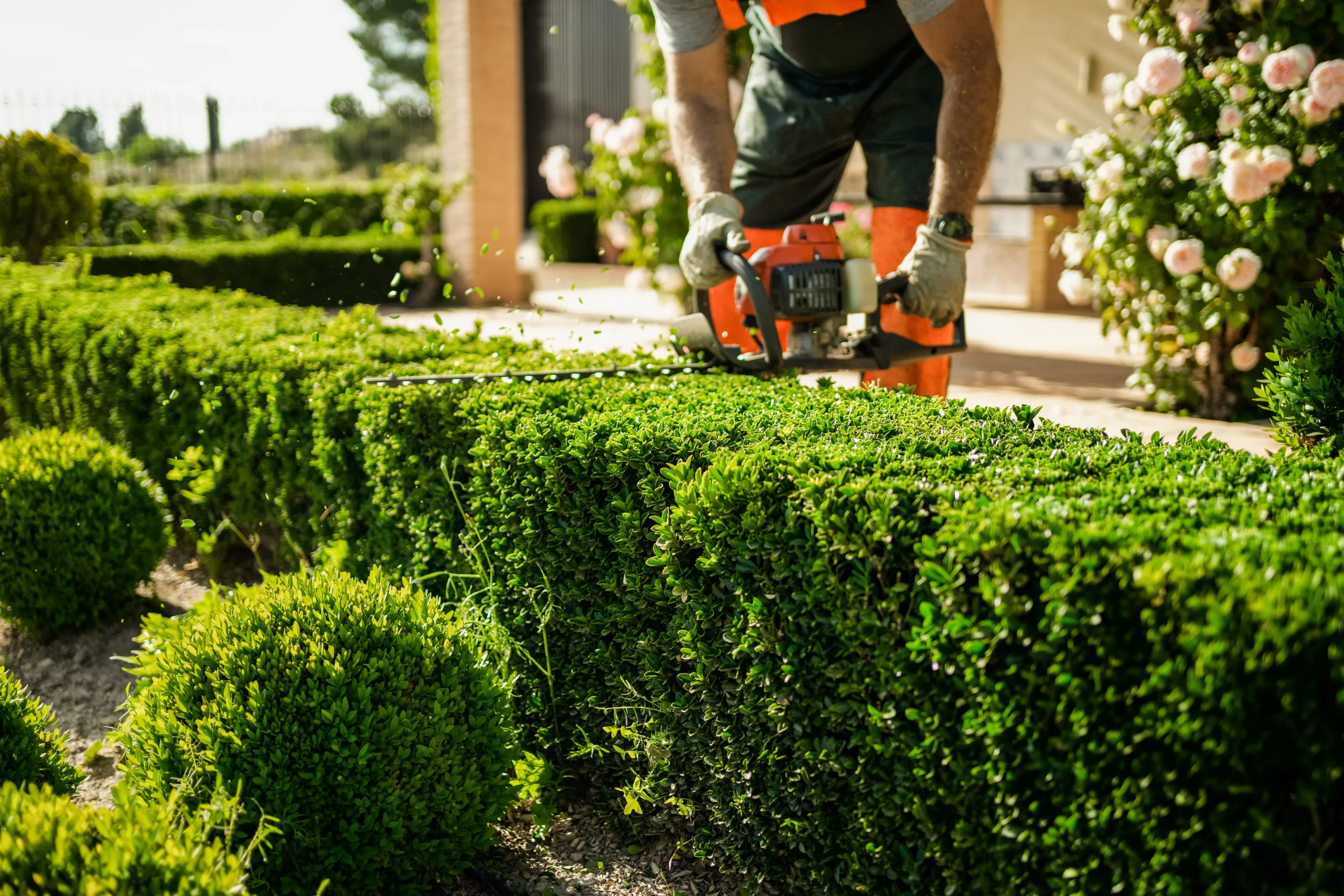 AdobeStock_534353443